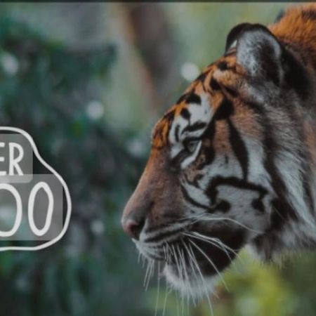 The Beautiful Bungalow Amazing Location For Chester & Zoo Wervin Exterior foto